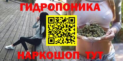 амф Абакан