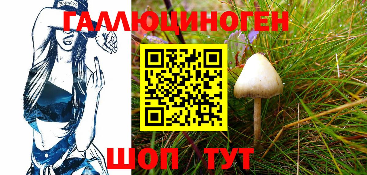 Псилоцибиновые грибы MAGIC MUSHROOMS Азнакаево