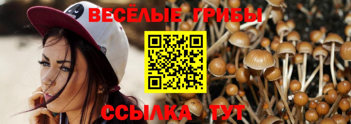 Азнакаево  Псилоцибиновые грибы Psilocybe  Вход с VPN 